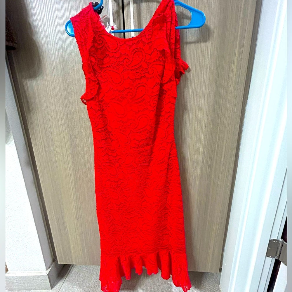 Gorgeous Brand New Bebe Dress!  Stunning on!